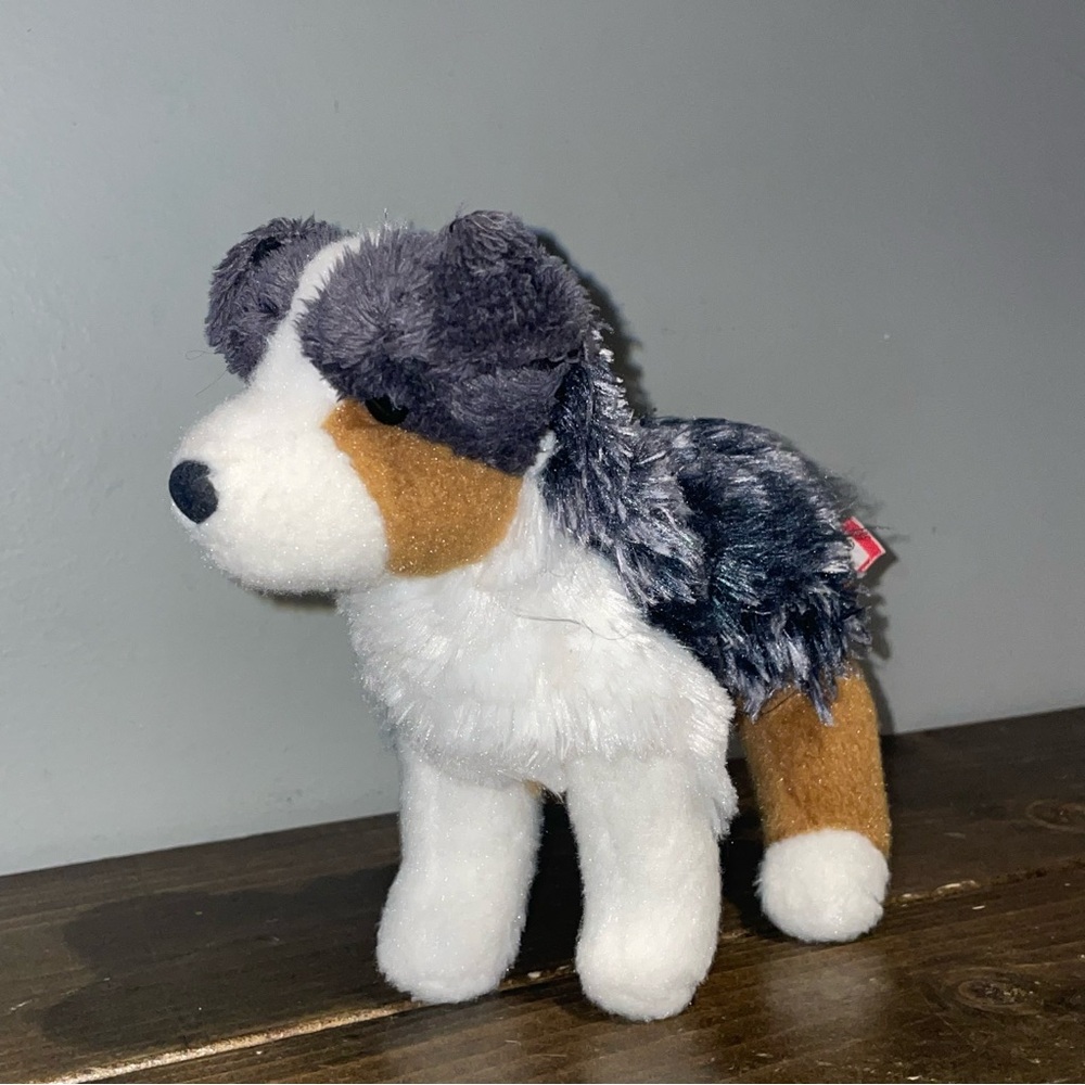 Douglas Steward-Australian Shepherd